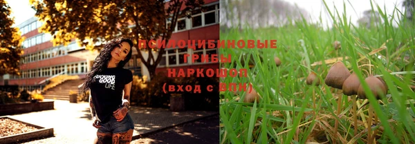 первитин Белокуриха