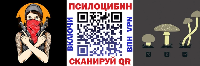 Галлюциногенные грибы Psilocybe  Пенза 
