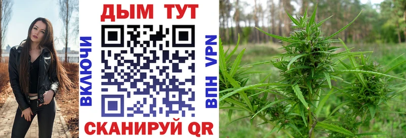 купить наркоту Пенза Бошки Шишки OG Kush